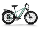 Himiway D5 (Zebra) | Premium All-terrain Electric Fat Bike High-Step HIM600 SOV