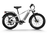 Himiway D5 (Zebra) | Premium All-terrain Electric Fat Bike High-Step HIM600 SOV