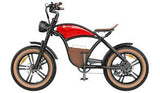 Hidoes HD-B10 Classical 48V,13Ah 1000W Off-road Electric Bike - EBSCR601 SOV
