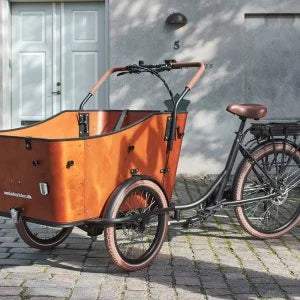 Electric Cargo Bikes