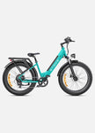 ENGWE E26 ST 48V,16Ah 250W Electric Bike - EBSC998