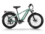 Himiway D5-ST (Zebra ST) | Premium All-terrain Electric Fat Bike  HIM651