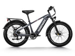 Himiway D5-ST (Zebra ST) | Premium All-terrain Electric Fat Bike  HIM651