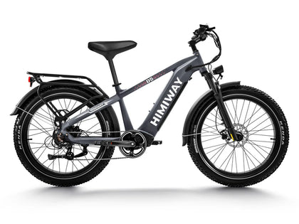 Himiway D5 (Zebra) | Premium All-terrain Electric Fat Bike High-Step HIM600