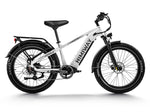 Himiway D5-ST (Zebra ST) | Premium All-terrain Electric Fat Bike  HIM651