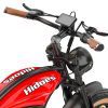 Hidoes HD-B10 Classical Off-road Electric Bike - EBSCR601