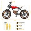 Hidoes HD-B10 Classical Off-road Electric Bike - EBSCR601