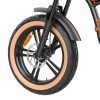 Hidoes HD-B10 Classical Off-road Electric Bike - EBSCR601