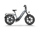 HIMIWAY BIG DOG - Electric Cargo Bike  - EBHIMI-124 STH