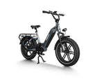 HIMIWAY BIG DOG - Electric Cargo Bike  - EBHIMI-124 STH