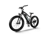 Himiway D3 ST (Cruiser ST) | Long Range Fat Tire Electric Bike High-Step - HIM669