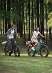 ENGWE E26 ST 48V,16Ah 250W Electric Bike - EBSC998