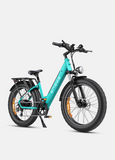 ENGWE E26 ST 48V,16Ah 250W Electric Bike - EBSC998