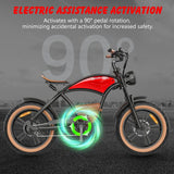 Hidoes HD-B10 Classical Off-road Electric Bike - EBSCR601