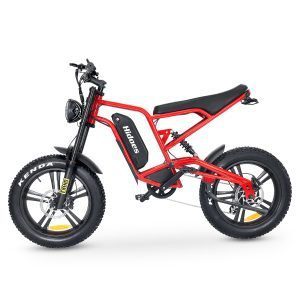 Hidoes HD-B6 48V,15Ah 1200W Mountain Electric Bike - EBSC807 SOV