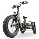 Hidoes HD-ET1 Tricycle Cargo Electric Bike EBSC900