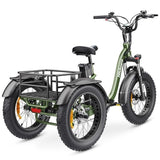 Hidoes HD-ET1 Tricycle Cargo Electric Bike EBSC900