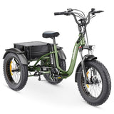 Hidoes HD-ET1 Tricycle Cargo Electric Bike EBSC900