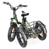 Hidoes HD-ET1 Tricycle Cargo Electric Bike EBSC900