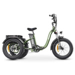 Hidoes HD-ET1 Tricycle Cargo Electric Bike EBSC900