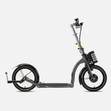 SwiftyONE-E Electric Scooter 250W - EBSC116