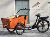 Bimas Electric Cargo Bike – Ultimate Harmony - EBSC828