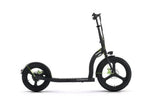 Argento Active Bike Electric Scooter - 2022AD EBSC048 KDS