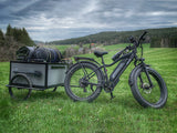 HIMIWAY CRUISER Long Range All Terrain Step Through Electric Bike - HIMI-002 STH