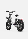 ENGWE L20 48V,13 Ah 250W Electric Bike EBSC995