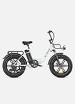 ENGWE L20 48V,13 Ah 250W Electric Bike EBSC995