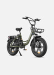 ENGWE L20 48V,13 Ah 250W Electric Bike EBSC995