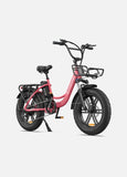 ENGWE L20 48V,13 Ah 250W Electric Bike EBSC995