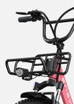ENGWE L20 48V,13 Ah 250W Electric Bike EBSC995