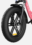 ENGWE L20 48V,13 Ah 250W Electric Bike EBSC995