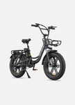ENGWE L20 48V,13 Ah 250W Electric Bike EBSC995