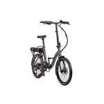 Electric Folding Bike  LS - PEN219 STH