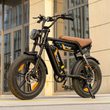 HIWTAY BK29S(BK17) 48V,13Ah*2 250W Dual Batteries Electric Bike  EBSC956