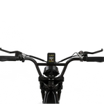 HIWTAY BK29S(BK17) 48V,13Ah*2 250W Dual Batteries Electric Bike  EBSC956