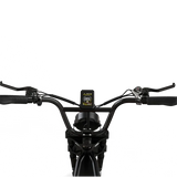 HIWTAY BK29S(BK17) 48V,13Ah*2 250W Dual Batteries Electric Bike  EBSC956