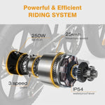 HIWTAY BK29S(BK17) 48V,13Ah*2 250W Dual Batteries Electric Bike  EBSC956