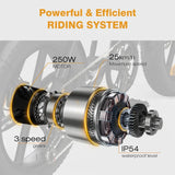 HIWTAY BK29S(BK17) 48V,13Ah*2 250W Dual Batteries Electric Bike  EBSC956