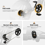 HIWTAY BK29S(BK17) 48V,13Ah*2 250W Dual Batteries Electric Bike  EBSC956