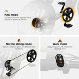 HIWTAY BK29S(BK17) 48V,13Ah*2 250W Dual Batteries Electric Bike  EBSC956
