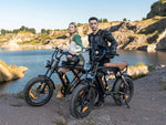 HIWTAY BK29S(BK17) 48V,13Ah*2 250W Dual Batteries Electric Bike  EBSC956