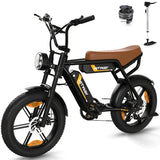 HIWTAY BK29S(BK17) 48V,13Ah*2 250W Dual Batteries Electric Bike  EBSC956