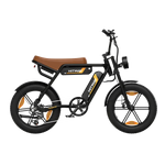 HIWTAY BK29S(BK17) 48V,13Ah*2 250W Dual Batteries Electric Bike  EBSC956