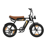 HIWTAY BK29S(BK17) 48V,13Ah*2 250W Dual Batteries Electric Bike  EBSC956