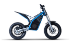 TRIAL TR2 Electric Scooter - (KID 6-10) -  TORR-009