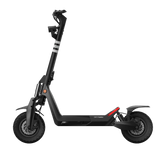 Panther ES800 Off-Road Electric Scooter EBSC924