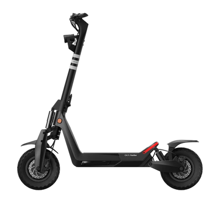 Panther ES800 Off-Road Electric Scooter EBSC924